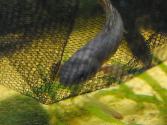 CIMG0267.jpg