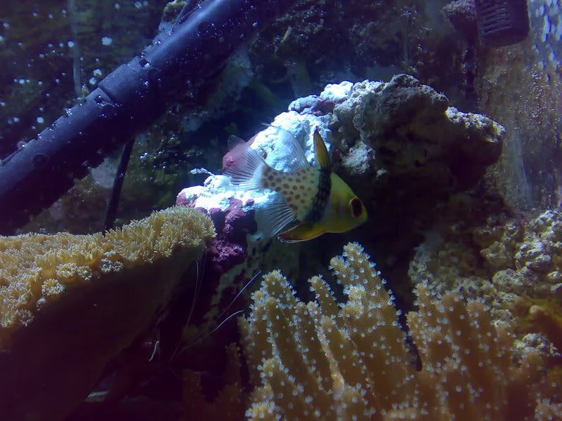 07012007093.jpg