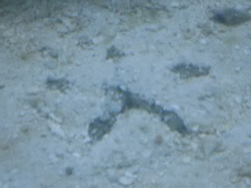 SDC10292.jpg