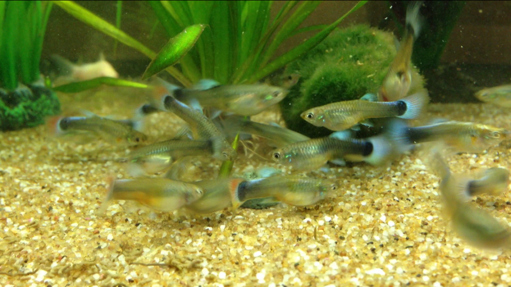 photo5_zps660c4422.png