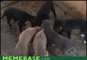 syYMwQ1XXUSwVpgJsYZPxw2.gif