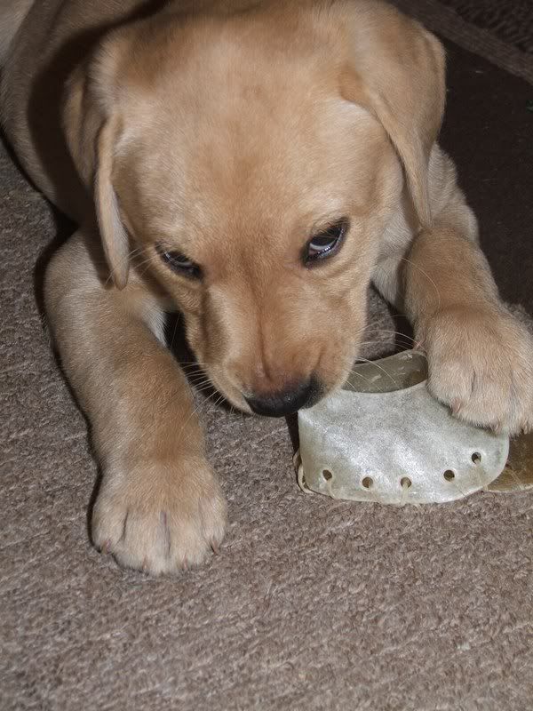 December2006012.jpg