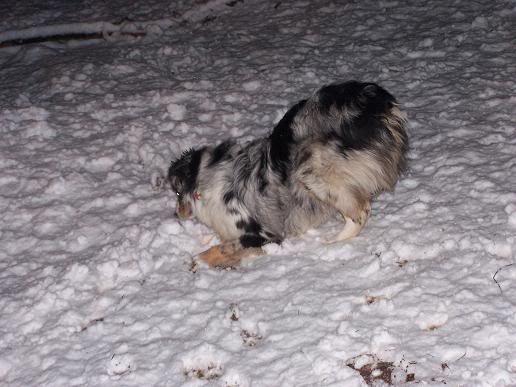 snow6.jpg