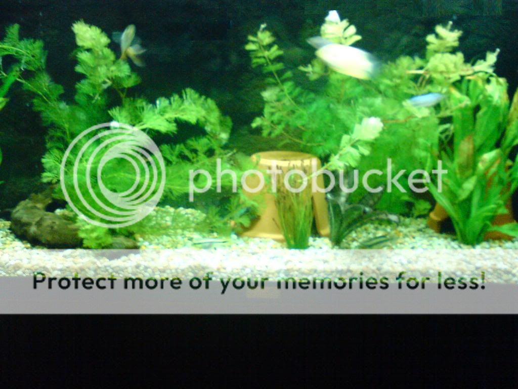 DSC01114.jpg