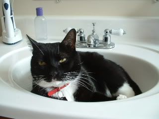 MikeintheSink.jpg