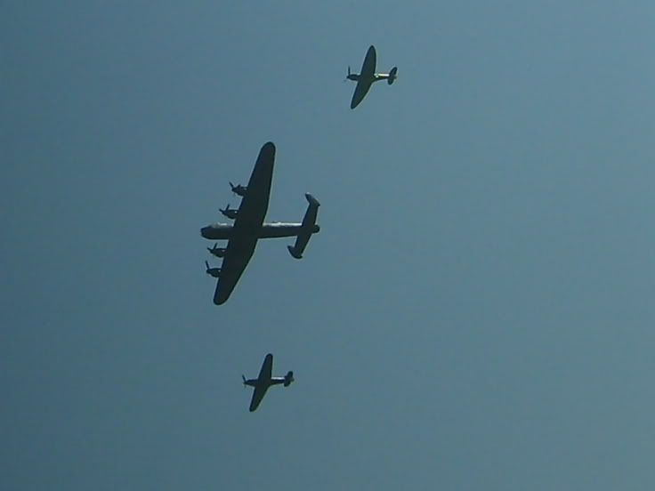 S5006199.jpg