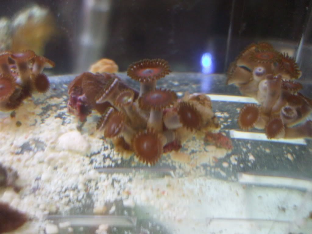 DSCF9079.jpg