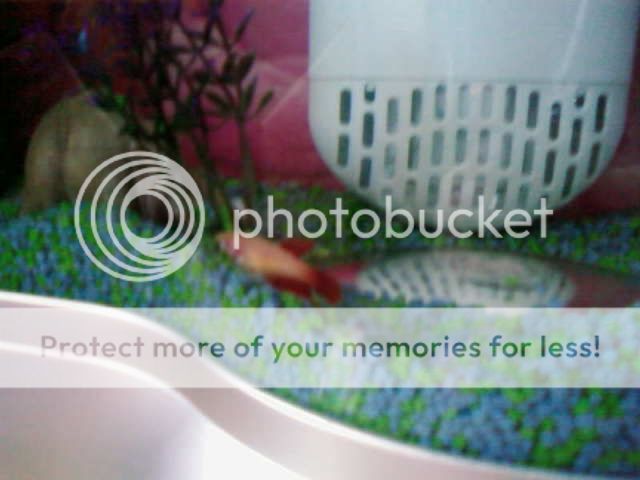 SP_A0390.jpg