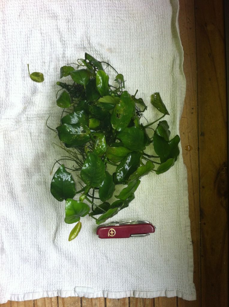photo-65.jpg