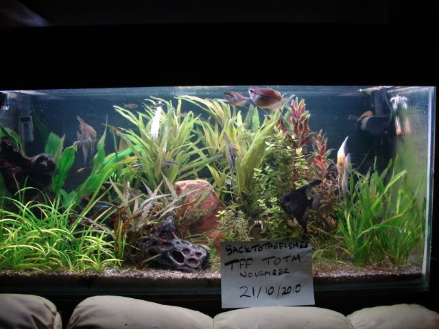 DSC00044.jpg