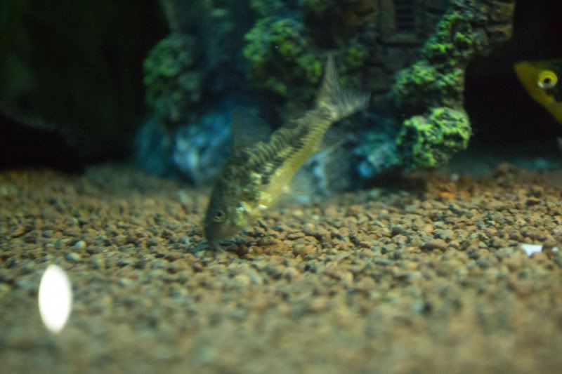 DSC_0047.jpg