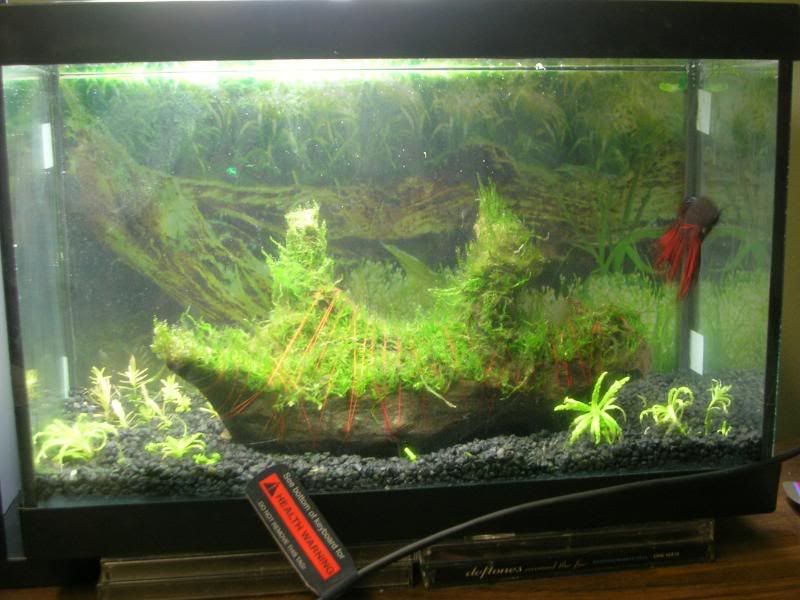 DSCN1890.jpg