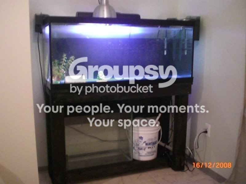 75gallon040.jpg