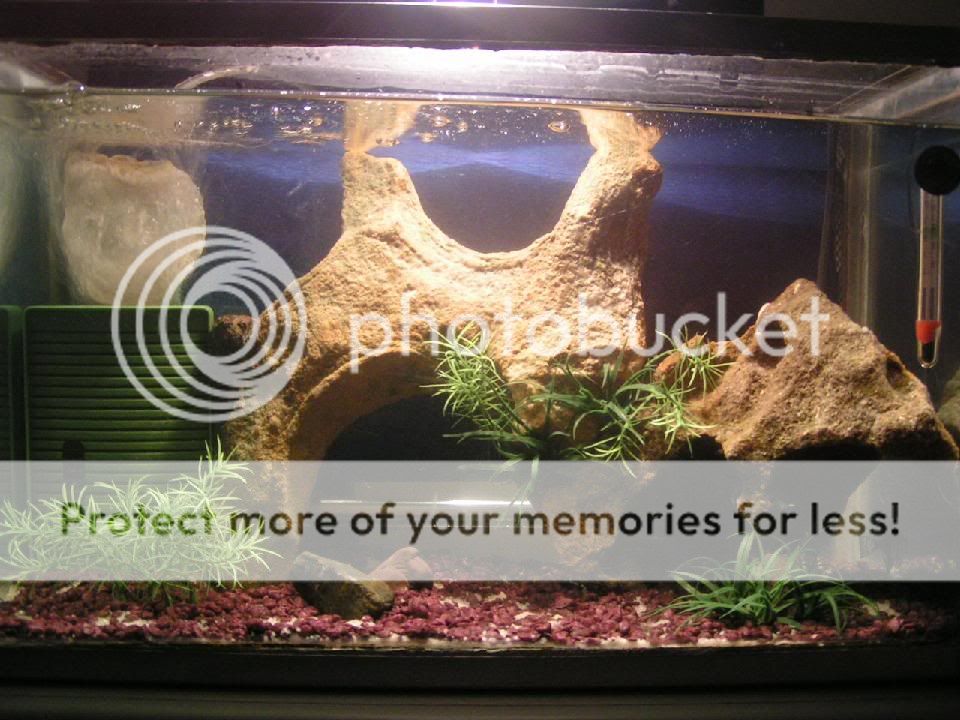 PICT0012.jpg