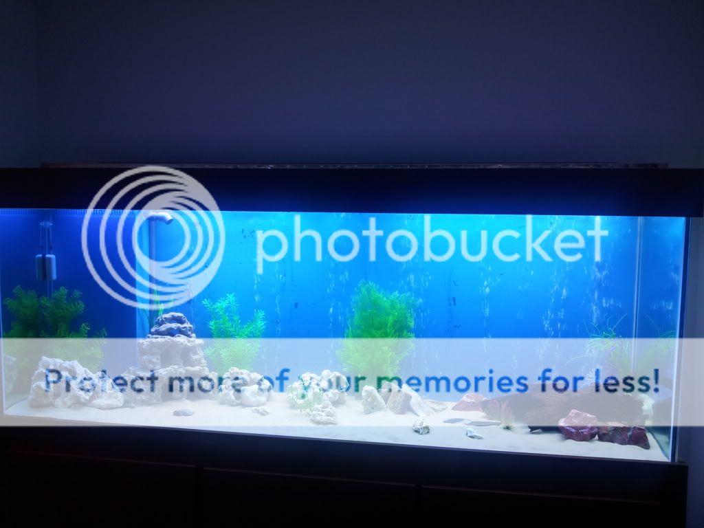 2011-12-12180539.jpg