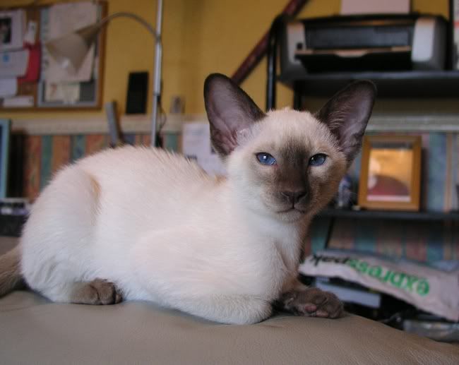 Fudge190306.jpg