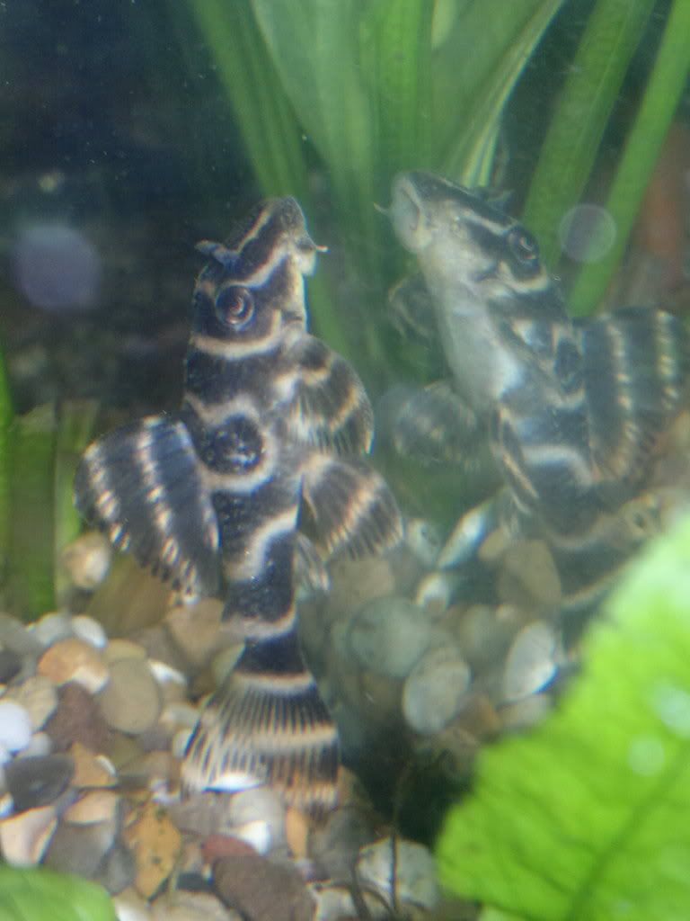 20111213515.jpg