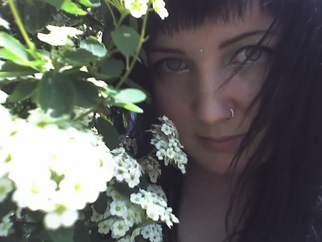 11-05-08_1330.jpg