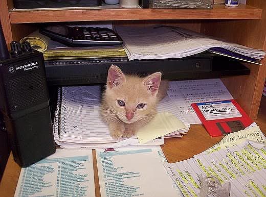 100_2293.jpg