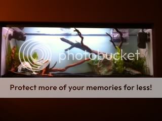 photo7-2.jpg