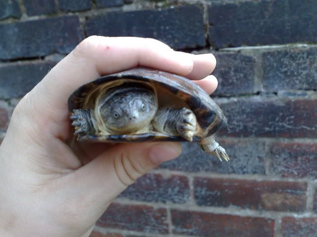 13082009777.jpg