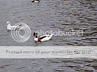 Image120.jpg