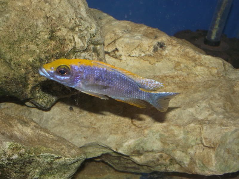 DSCF7895.jpg