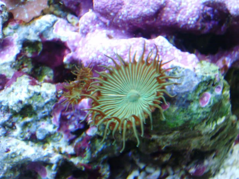 P5220117.jpg