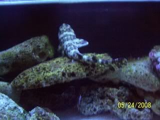 100_3165.jpg