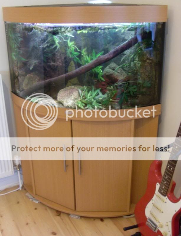 TankPic04.jpg