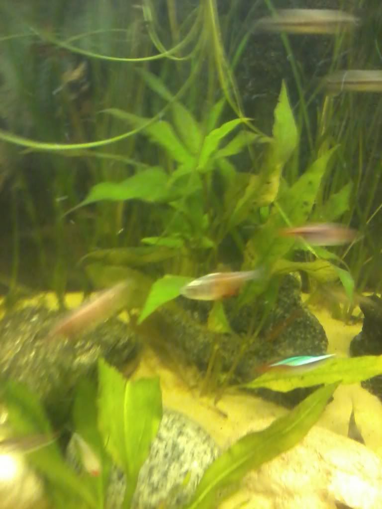 2011-01-12180452.jpg