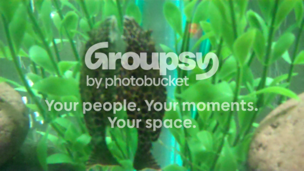 vlcsnap-2011-04-06-17h11m03s176-2.png