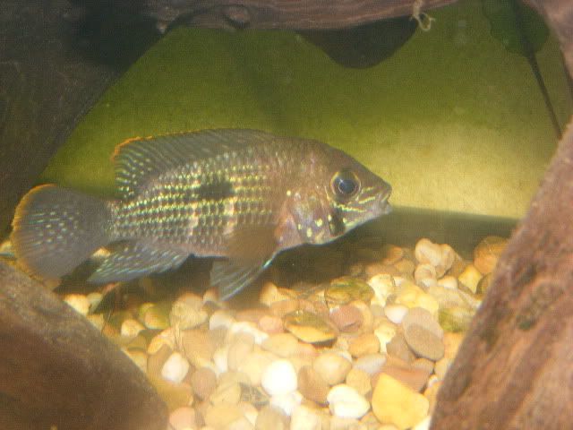 DSCF6638.jpg