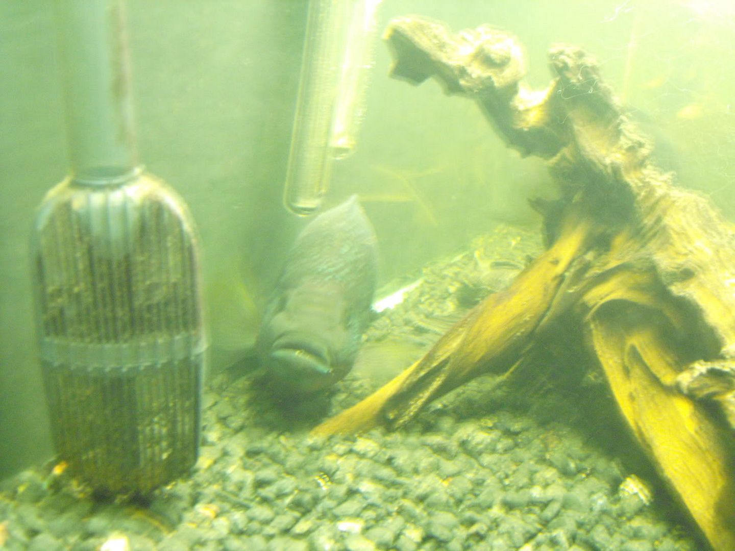 2050_1231-4_9_09-0018.jpg