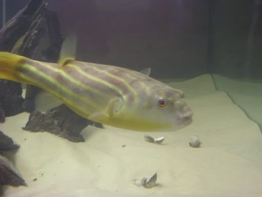 DSCN1875.jpg