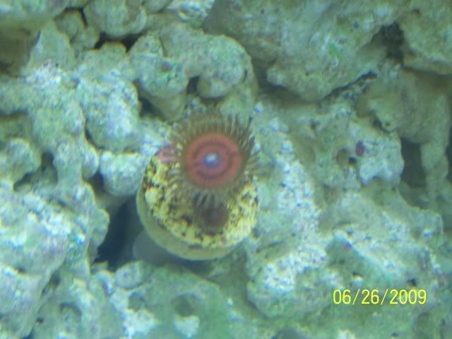 100_6949.jpg