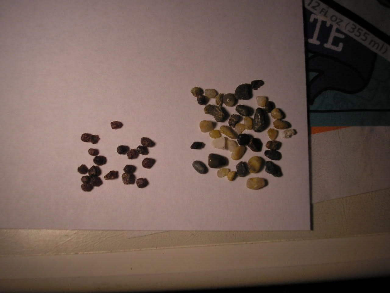 722ccddc.jpg