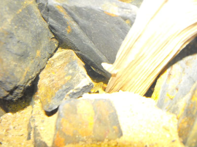 DSCF4097.jpg