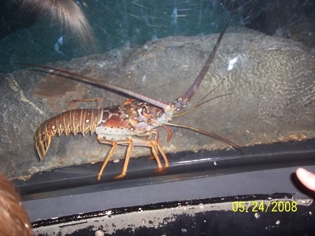 100_3207.jpg