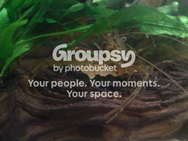 15052009366.jpg