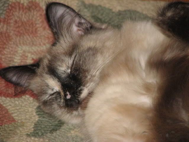 IMG_0769.jpg