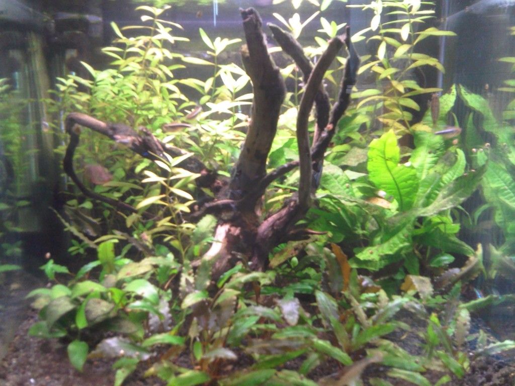 fts2may12.jpg