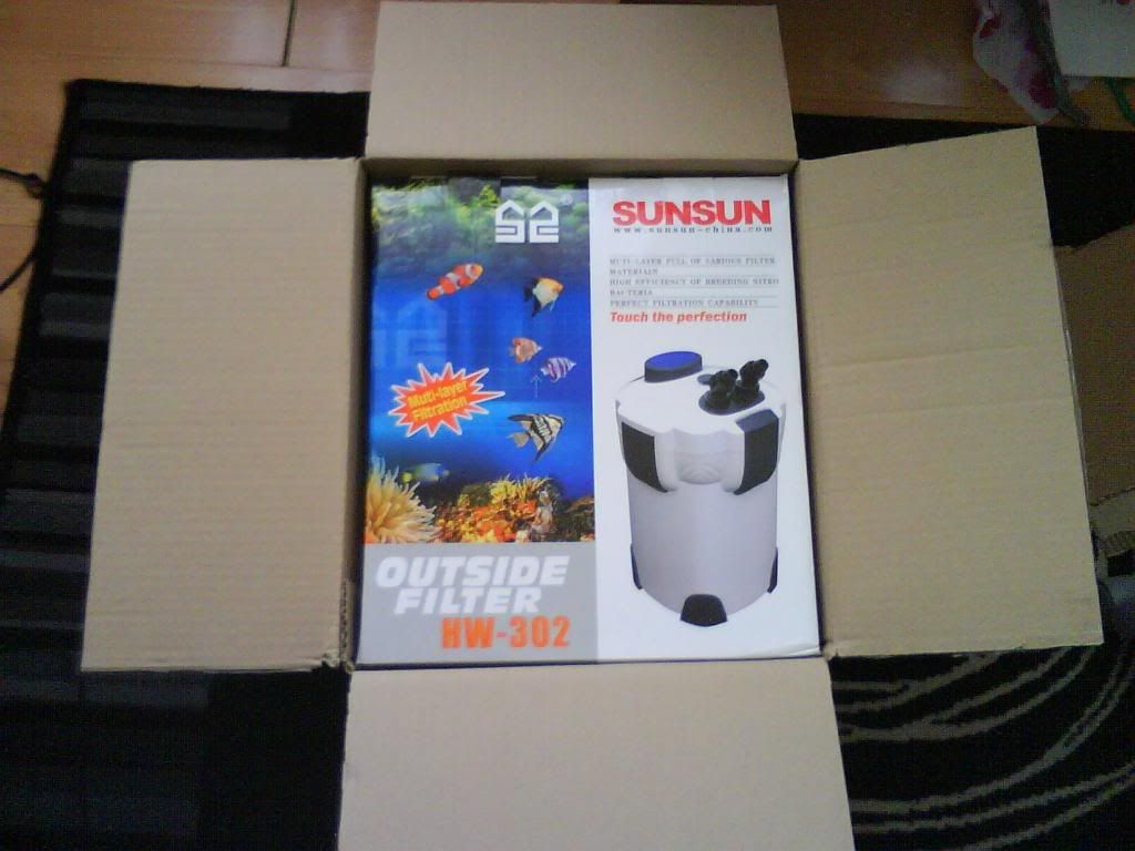 DSC01565.jpg