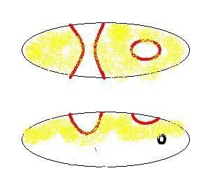 puffer.jpg