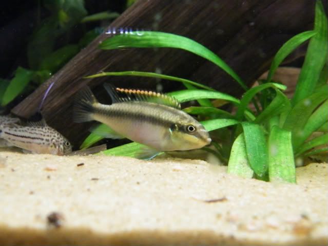 DSCF3913.jpg