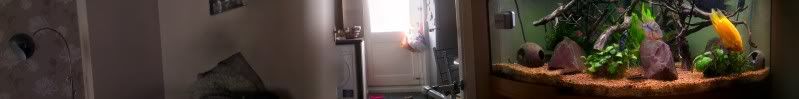 IMAG0233-1.jpg