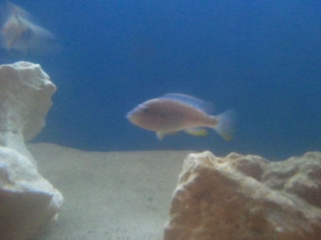 2012-02-03211152.jpg
