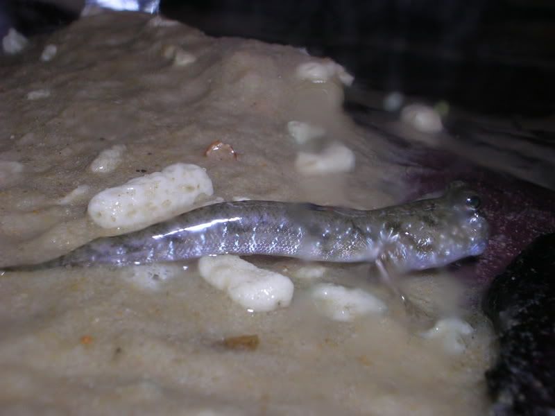DSCN2979.jpg