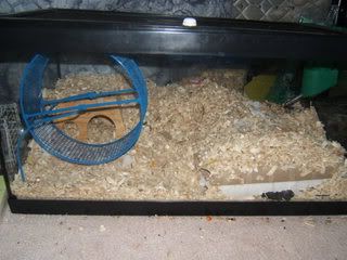 DSCF1368.jpg