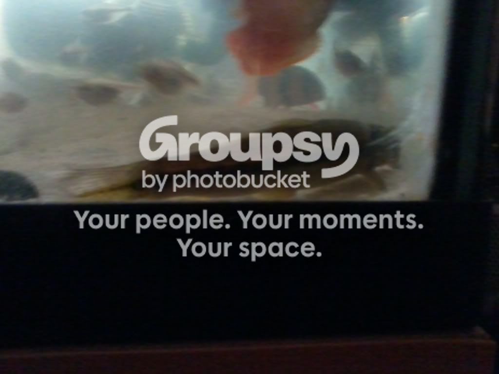 2011-01-23134906.jpg